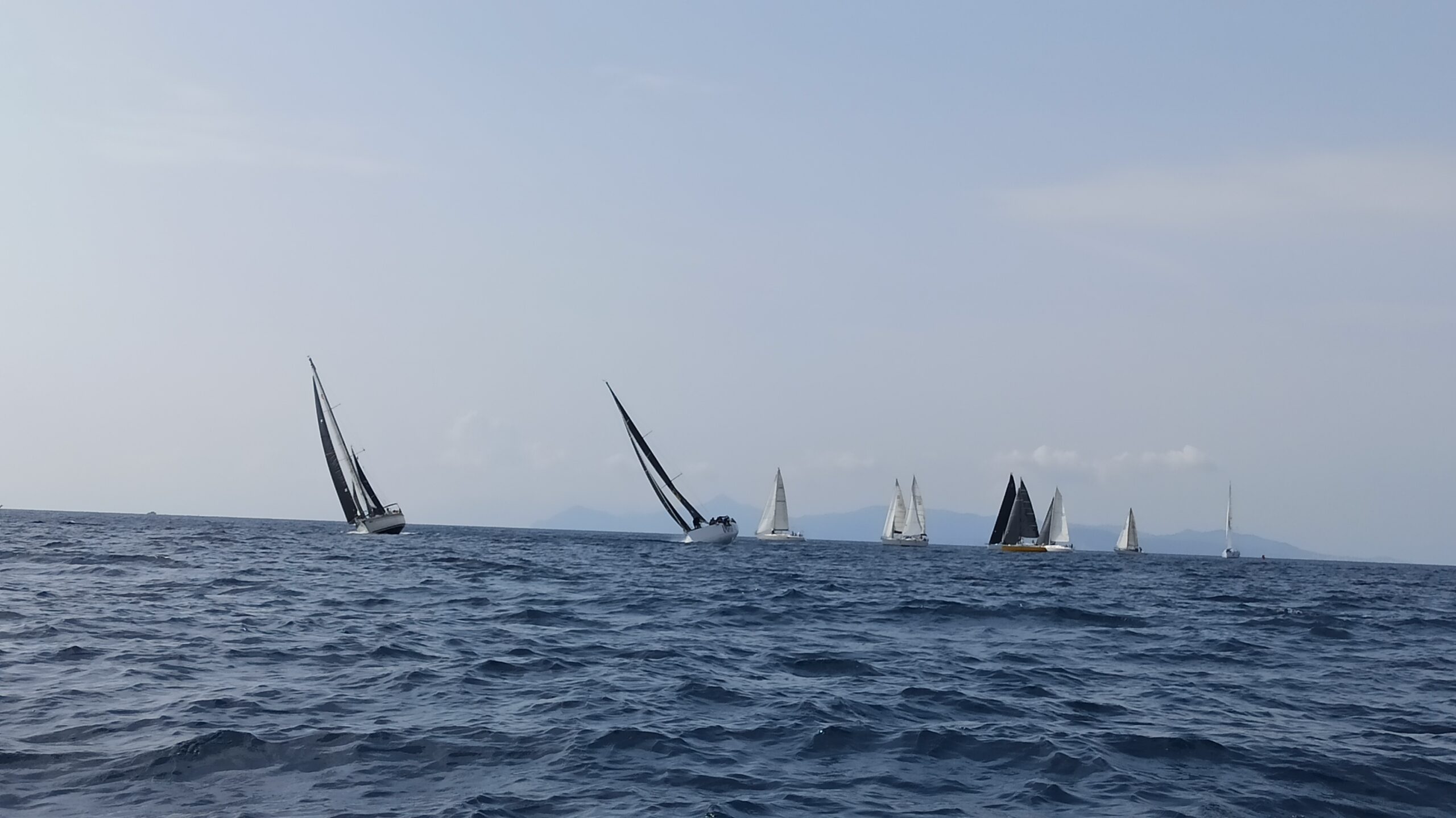 Γουρουνόπουλο 2021